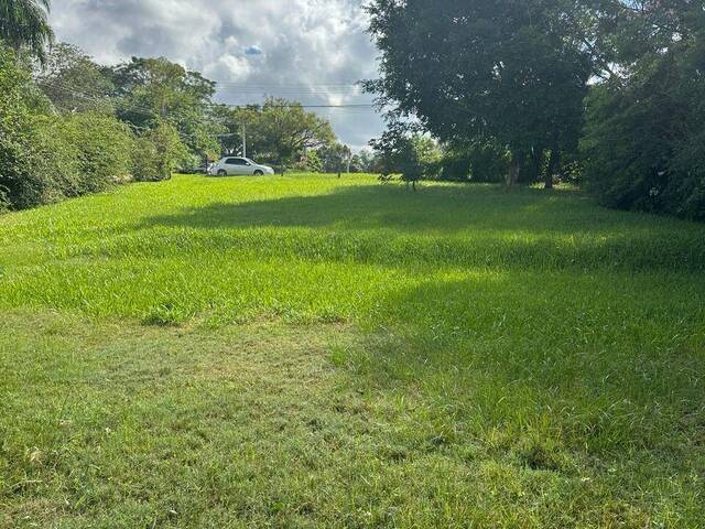 Terreno em condomínio para Venda em Gravataí - 4