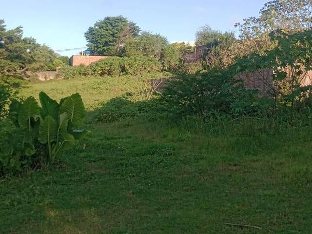 Terreno para Venda em Gravataí - 4