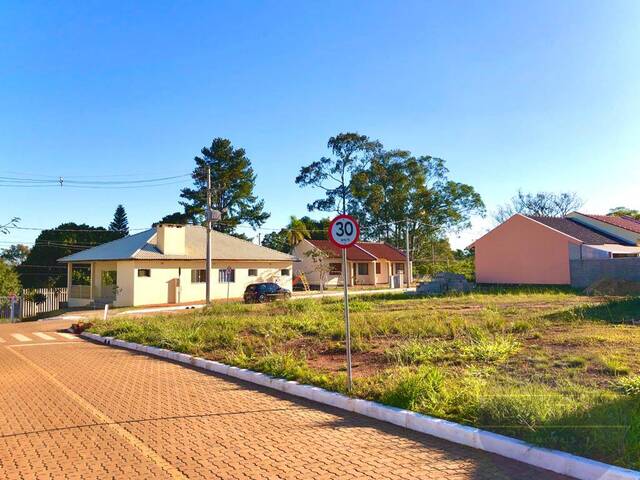 Venda em Sítio Paquetá (Itacolomi) - Gravataí