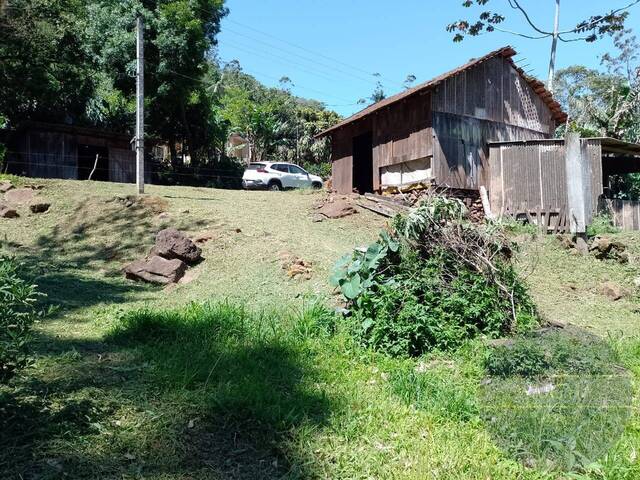 #1104 - Chácara para Venda em Três Cachoeiras - RS - 1