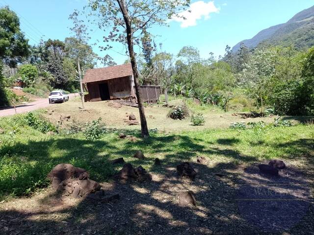 #1104 - Chácara para Venda em Três Cachoeiras - RS - 2