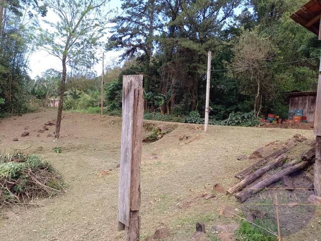 #1104 - Chácara para Venda em Três Cachoeiras - RS - 3