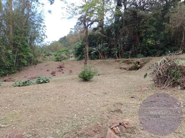 Chácara para Venda em Três Cachoeiras - 5