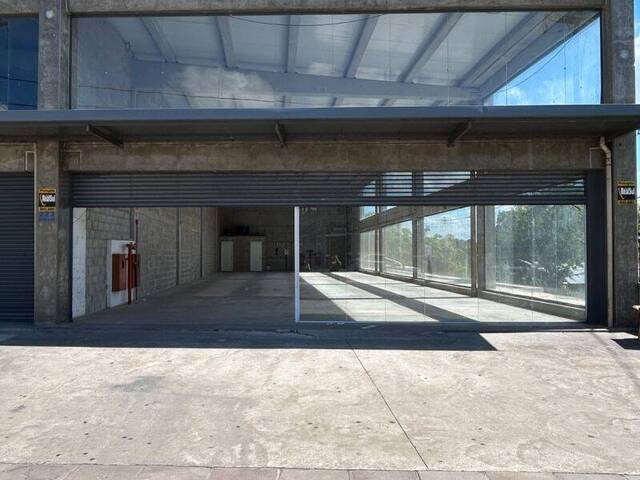 Sala para Locação em Viamão - 4