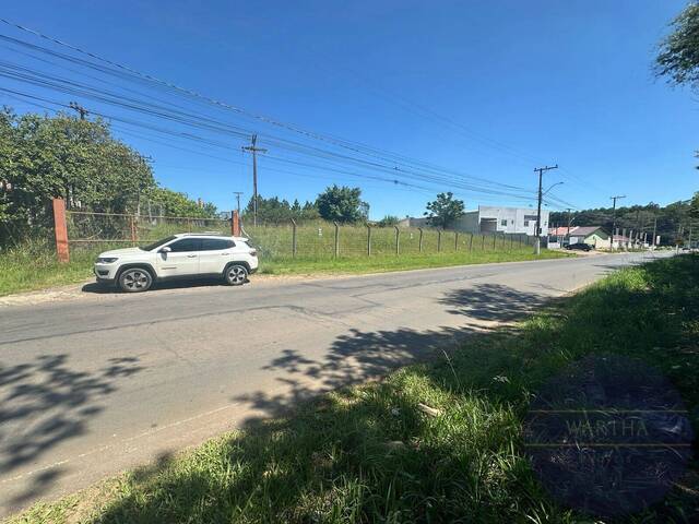 #1131 - Área para Venda em Gravataí - RS - 3