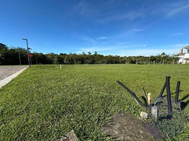 Área para Venda em Gravataí - 4